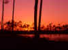 Florida Everglades Sunset 1 (36907 bytes)